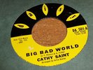 Cathy Saint Big Bad World Mr. Heartbreak teen 45