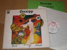 FRUUPP uk org lp SEVEN SECRETS prog 1974 DAWN 1G/1G 1st pressing lyrics insert