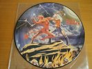 IRON MAIDEN RARE PICTURE DISC 12