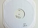 MENTAL Planet Mental LP TEST PRESS underdog nyhc warzone quicksand *RARE*