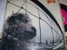 PEARL JAM “Vs” Rare Brazilian Vinyl Album