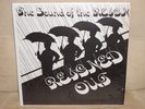 Rare Garage Rock LP The Sound Of The Reign on Wilber