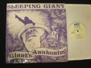 Sleeping Giant Giant's Awakening RARE ORIGINAL Cary, NC LP BMC 984 Mint-