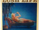 JOE MOONEY-LUSH LIFE-DG ORIGINAL