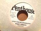 BOBBY JAMESON ROOGALATOR ZAPPA PENTHOUSE PROMO WLP US DJ 45 WAREHOUSE FIND M-