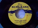45RPM N Soul  Little Willie Foster  Falling Rain Blues  Blue Lake 113