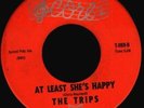 GREAT RARE 60's Garage Psych--THE TRIPS on SCORE--AT LEAST SHE's HAPPY--NICE VG+