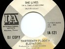 HEAR- Rare Garage 45 - Thirteenth Floor Elevators - She Lives - Promo