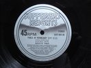 PABLO IN MOONLIGHT / PLEASE OFFICER  /  AUGUSTUS PABLO  / EARL ZERO  RARE  12 in