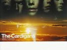 the cardigans gran turismo vinyl erstpressung 1998