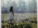 Catherine Howe what a beautiful place orig uk 1971 LP rare folk/songwriter