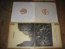 JULIE DRISCOLL BRIAN AUGER & THE TRINITY streetnoise UK 1st Press 2LP MARMELADE