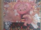 Nirvana Heart Shaped Box 7