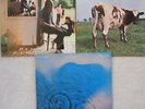 Pink Floyd -Atom Heart Mother- Ummagumma- Meddle - Harvest Gatefold Original LPs