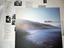 Incubus Morning View 2 LP vinyl release