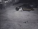 JOHN ZORN Naked City LP NM/OOP True 1st US Pressing L K Avant Garde NOISE