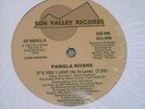 PAMELA NIVENS IT'S YOU I LOVE (SO IN LOVE) BOOGIE 12