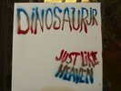 Dinosaur Jr. RARE Pre-Release 