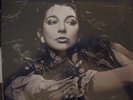 KATE BUSH 