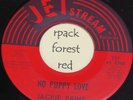 JACKIE PAINE - No Puppy Love -  JET STREAM  7
