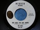 RARE GARAGE PSYCH PROMO 45 - THE BATS - HOW COULD YOU HAVE KNOWN - very nice 