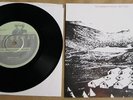MAGNETIC FIELDS Why I Cry 7