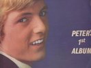 lp PETER DOYLE PETERS FIRST ALBUM (sunshine)