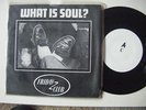 Friday Club - What Is Soul? pic sleeve 7