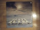 LP KID FINE TIME TONIGHT  ITALO BOOGIE FUNK RARE 1982 ORIGINAL IT