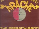 THE SEEBACH BAND apache RARE SWEDISH DISCO 12