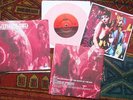 VIBRAVOID 'WHAT COLOUR IS PINK' 7