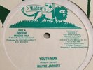 Wayne Jarrett - Youthman  - Rare roots