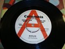 The Syndicats   Maybellene  RARE   DEMO 45