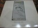 Polar Praxis – Fireworks  ' 12''  MINT & UNPLAYED