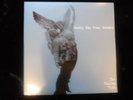 SUNNY DAY REAL ESTATE rising tide 2xLP Green Vinyl emo indie FREE SHIP