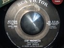 The Idols - Prowler KILLER TITTYSHAKER R&B MOD SHAKER HALLOWEEN Hear