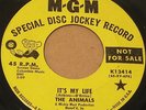 THE ANIMALS 