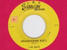 45 RPM Link Davis STARDAY 242 Grasshopper Rock