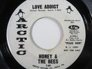 Sister Funk Soul HONEY & THE BEES Love Addict (ORIG Arctic Demo) HEAR