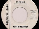 Fuzz Garage BEAUS OF BEETHOVEN It's Too Late SOUND PRO Killer LISTEN