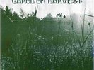 CAROL OF HARVEST LP re LTD Best Psych Prog LP ever? MINT KRAUTROCK GEM