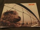 PEARL JAM vs (versus) original still sealed cellophane LP 1994 epic (1st)