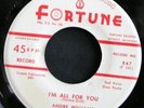 R&B 45 ANDRE WILLIAMS on FORTUNE Put A Chain On It/Im All For You LISTEN
