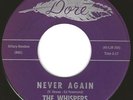 The Whispers, Never Again, Dore 729, Great Slow Doo Wop, NM