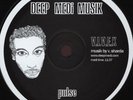 V.I.V.E.K - Pulse / Roots - Deep Medi Musik medi37 12