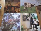 Pink Floyd , Ummagumma/Atom Heart Mother/Obscured by clouds/Animals Top Zustand