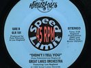 HEAR Great Lakes Orchestra - Didn't I tell you (LAST COPY)