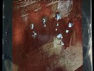 Rare Amber s/t Polydor 1st UK  Mint-
