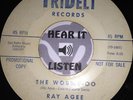RAY AGEE The Wobble-oo Mod New Breed RnB Soul Killer Dancer Tridelt Demo LISTEN