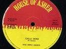 Ras Imru Asher - Fourth Generation / Calli Bird UK orig 12